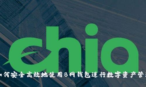 如何安全高效地使用B网钱包进行数字资产管理