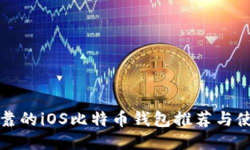 安全可靠的iOS比特币钱包推荐与使用指南