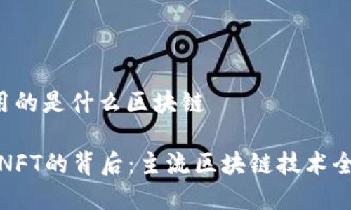 nft用的是什么区块链

探索NFT的背后：主流区块链技术全解析