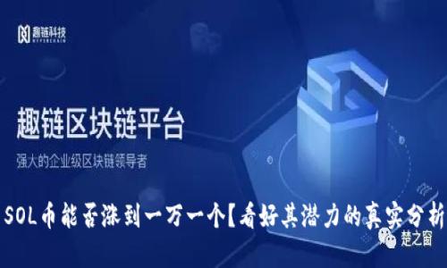 SOL币能否涨到一万一个?看好其潜力的真实分析