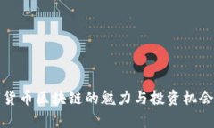 数字货币区块链的魅力与投资机会解析