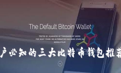 中国大陆用户必知的三大比特币钱包推荐及使用指南