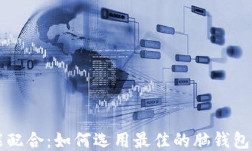 
智能配合：如何选用最佳的脑钱包软件