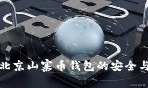 探索北京山寨币钱包的安全与便利