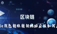 Bitpie钱包转账转错地址后该如何应对？