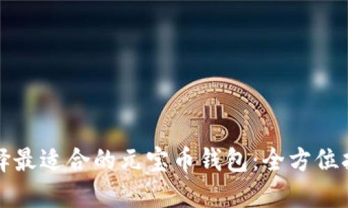 选择最适合的元宝币钱包:全方位指南