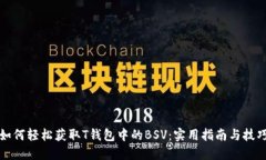 如何轻松获取T钱包中的BSV：实用指南与技巧