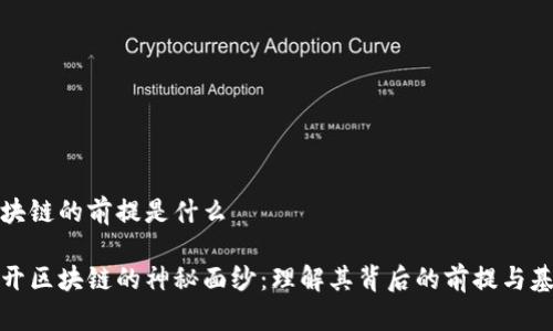 区块链的前提是什么

揭开区块链的神秘面纱：理解其背后的前提与基础