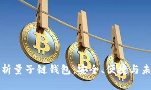 全面解析量子链钱包：安全、便捷与未来发展