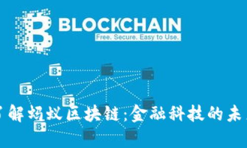 深入了解蚂蚁区块链：金融科技的未来前景