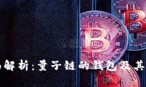 全面解析：量子链的钱包及其功能