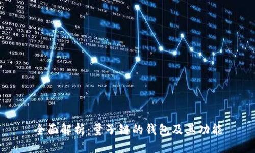 全面解析：量子链的钱包及其功能