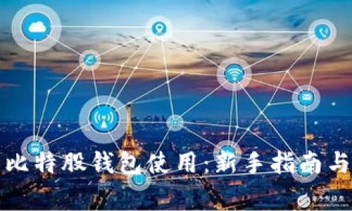 全面解析比特股钱包使用:新手指南与常见问题