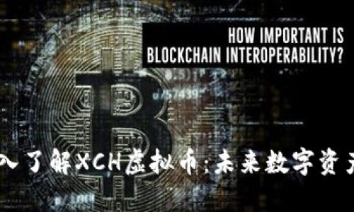 ## 深入了解XCH虚拟币:未来数字资产的明珠