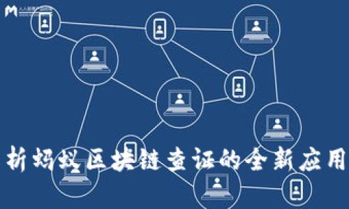 深入解析蚂蚁区块链查证的全新应用与发展