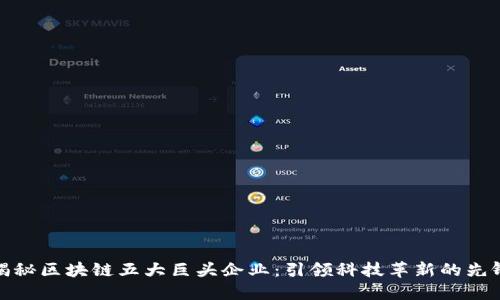 揭秘区块链五大巨头企业:引领科技革新的先锋
