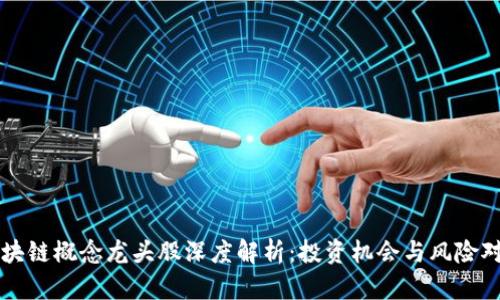 区块链概念龙头股深度解析:投资机会与风险对比