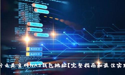 什么是主网NAS钱包地址?完整指南和最佳实践