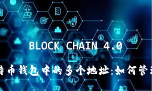 揭秘莱特币钱包中的多个地址:如何管理与使用