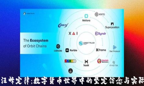 理解汪峰定律:数字货币世界中的坚定信念与实际应用