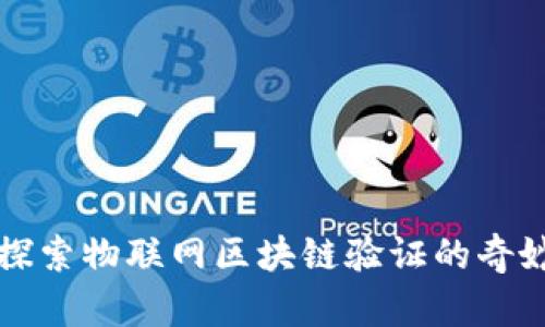 深入探索物联网区块链验证的奇妙世界