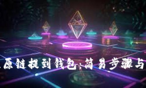 如何将比原链提到钱包：简易步骤与注意事项
