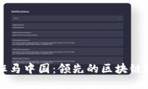 深入探索斑马中国：领先的区块链技术与创新