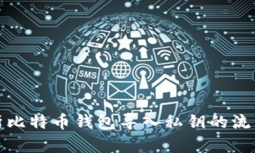 全面解析比特币钱包导入私钥的流程与技巧