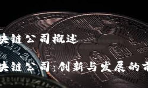 长沙区块链公司概述

长沙区块链公司：创新与发展的前沿力量