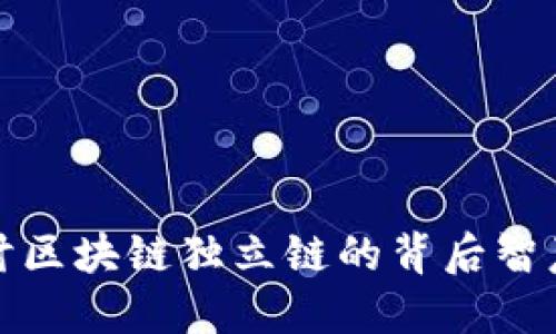 深入探讨区块链独立链的背后智慧与价值