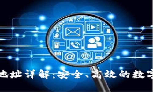 波场钱包地址详解：安全、高效的数字资产管理