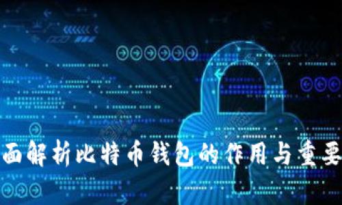 全面解析比特币钱包的作用与重要性