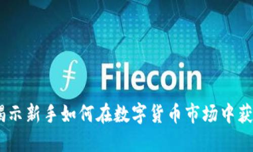 炒虚拟币：揭示新手如何在数字货币市场中获得丰厚回报
