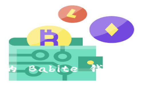 如何选择最适合您的 Babite 钱包：全面分析与优质指南