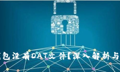比特币钱包没有DAT文件？深入解析与解决方案