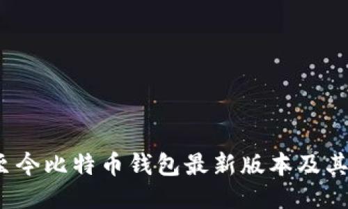 2023年至今比特币钱包最新版本及其使用指南