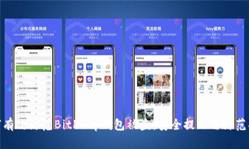 如何有效防范Bitkeep钱包被盗：安全提示与防范措施