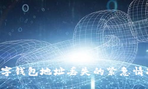 如何应对数字钱包地址丢失的紧急情况:实用指南