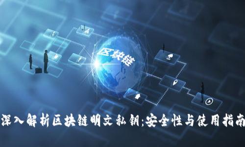 深入解析区块链明文私钥:安全性与使用指南