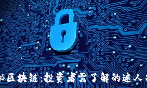   
揭秘区块链：投资者需了解的迷人项目