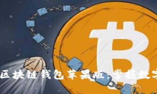 安全、便捷的区块链钱包苹果版：掌握数字资产的钥匙
