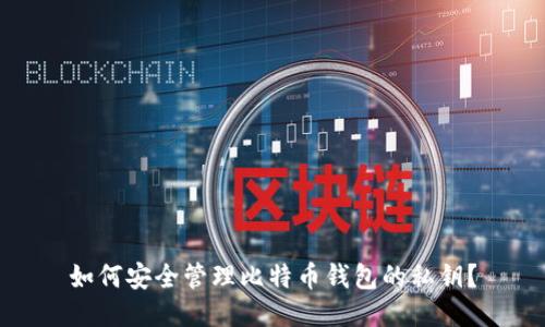如何安全管理比特币钱包的私钥？