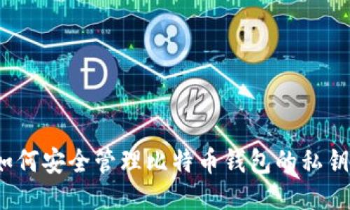 如何安全管理比特币钱包的私钥？
