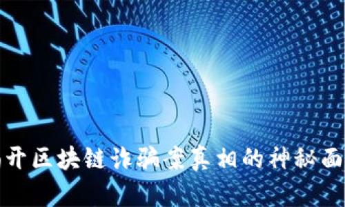 揭开区块链诈骗案真相的神秘面纱