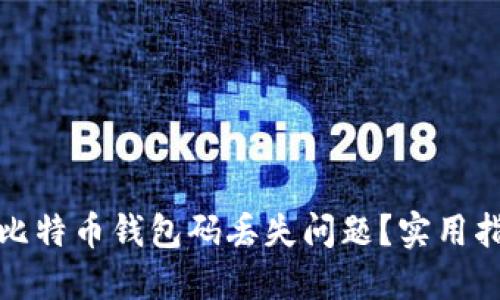 如何应对比特币钱包码丢失问题？实用指南与建议