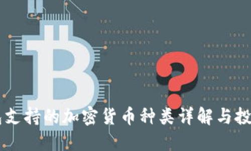 IM钱包支持的加密货币种类详解与投资价值